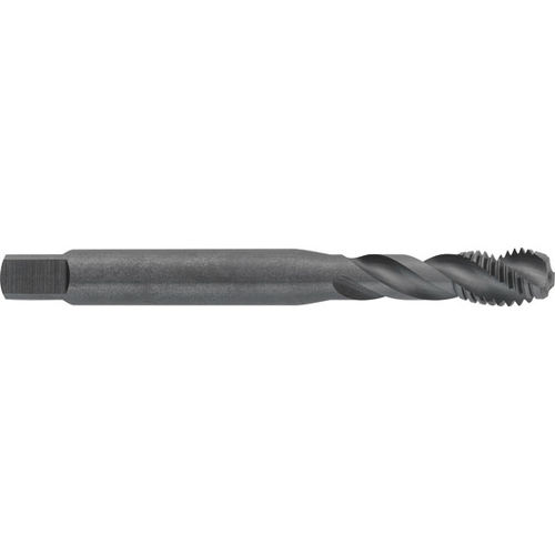Gewindebohrer für Sackloch - M536 - Carmon - HSS/HSCO / für Messing