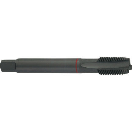 Gewindebohrer für Durchgang - G550 - Carmon - für Sackloch / HSS/HSCO / für Stahl