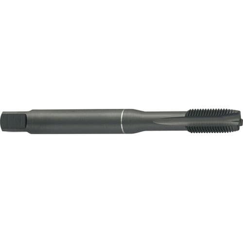 Gewindebohrer für Durchgang - UNF562       - Carmon - für Sackloch / HSS/HSCO / für Stahl