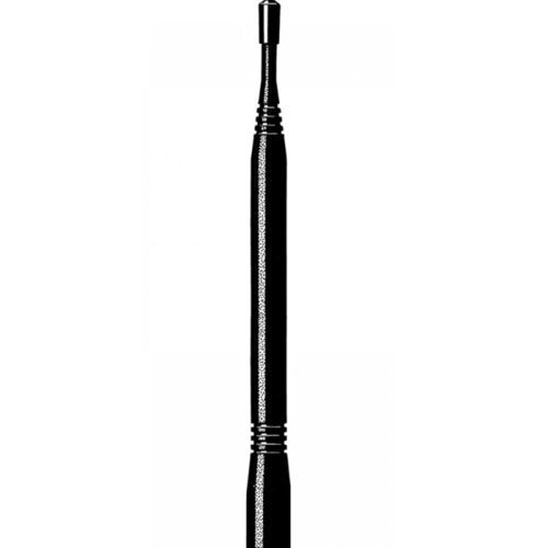 Antennen-Empfänger / Dual-Band - option r1 - E-CHRONOS - Stab / für Drahtlosnetz