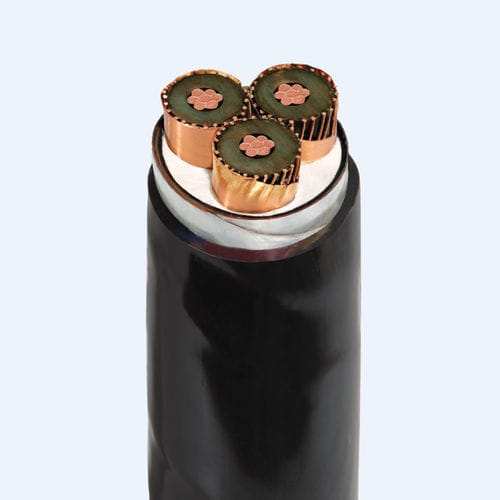 Versorgungs-Stromkabel - CXV/SEhh/DSTA-W - Thinh Phat Cables Joint Stock Company - isoliert / Panzer / mit Kupferschirm