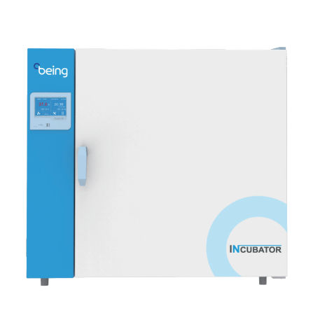 Labor-Inkubator - BI series - SHANGHAI BLUEPARD INSTRUMENTS CO.,LTD - mit Zwangskonvektion / mit natürlicher Konvektion / beheizt