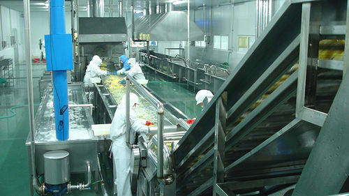 Wasch-Obstverarbeitungsanlage - Moon Environment Technology Co.,Ltd.