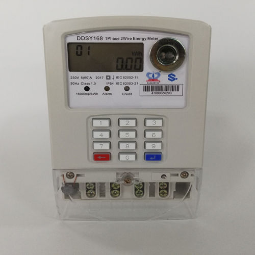 Einphasiger elektrischer Energiezähler - DDSY150 - Wuhan Radarking Electronics Corp - Einbau / 50 Hz / 60 Hz