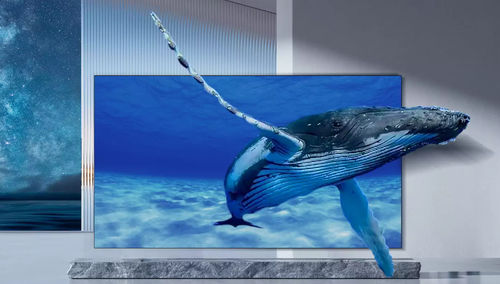 LED-Videowand - LEDPLAY - Ledman Optoelectronic Co., Ltd