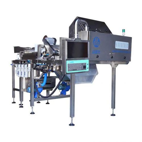Sortieranlage für die Lebensmittelindustrie - Hefei Angelon Electronics Co.,Ltd - optisch / Farb / automatisch