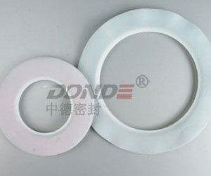 Graphitdichtung - ZD-G1700 - cixi zonde sealing and gasket.co.,Ltd - Gummi / PTFE / PVC