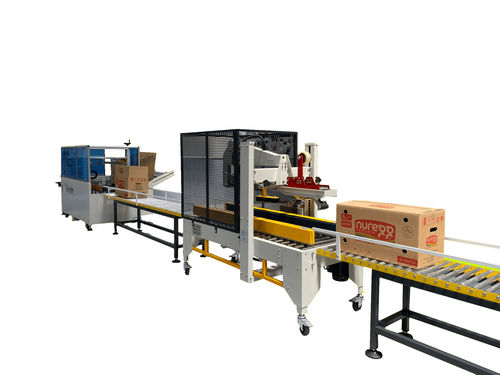 Kartonaufrichter / Verschluss von unten - TURBEY PACKING MACHINERY - automatisch