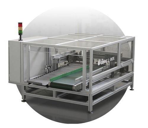 Bandförderer -  L-box - Dimac Srl - linear / Transport / für Karton