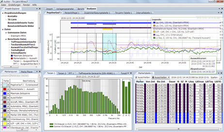 Analysesoftware - Auditor - SINUS - Mess / Nachbearbeitung / Prozess