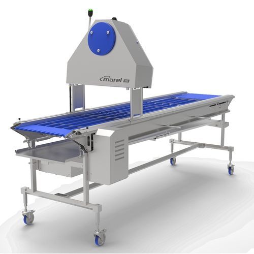 Optisches Inspektionssystem - IRIS FP - JBT Corporation - per Videosicht / Kamera / automatisch