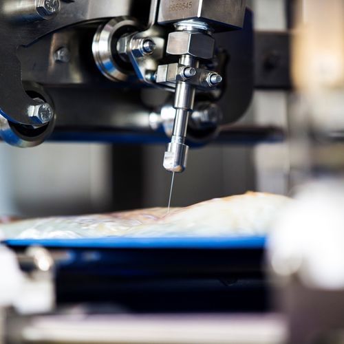 Automatischer Grätenextraktor - FleXicut - JBT Corporation