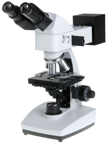Optisches Mikroskop - B+ series - Euromex - für Forschungszwecke / aufrecht / binokular