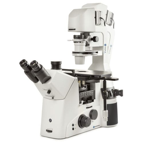 Optisches Mikroskop - Delphi-X Inverso series - Euromex - Industrie / Invers / trinokulares
