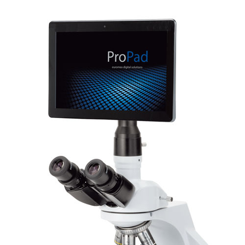 Windows-Tablet - ProPad series - Euromex - 10,1" / Quad-Core / 32 GB