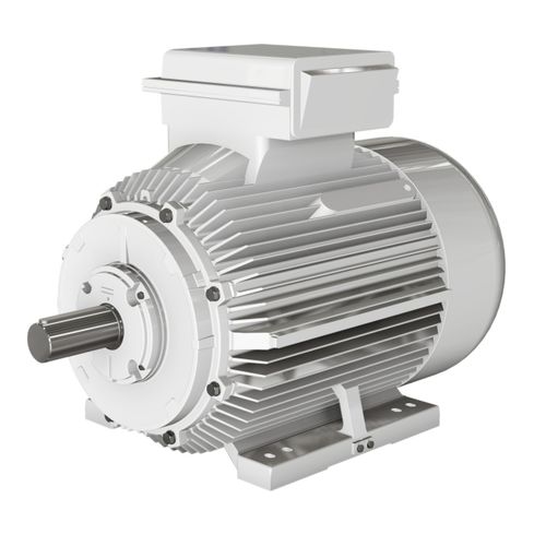 Asynchronmotor - BD series - Wolong Electric Group - einphasig / IP55 / IP65