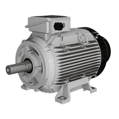 Asynchronmotor - W, WP series - Wolong Electric Group - 3-Phasen / IP55 / IP65
