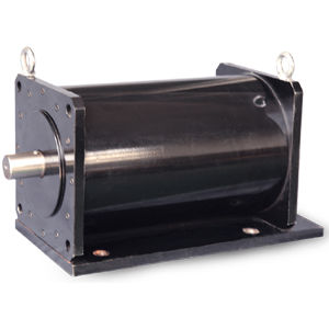 Induktionsmotor - WTGSDJ series - Jiang Su Weiteli Motor Co.,Ltd - wassergekühlt / für Elektrofahrzeug / RS-485