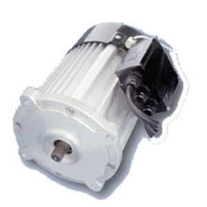 Motor mit niedriger Drehzahl - WTGSDJ1 - Jiang Su Weiteli Motor Co.,Ltd - Synchron / Permanentmagnet / für Elektrofahrzeug