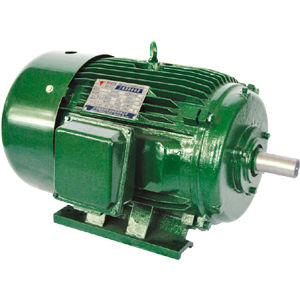 NEMA-Motor - Jiang Su Weiteli Motor Co.,Ltd - Asynchron / frequenzumrichterkontrolliert