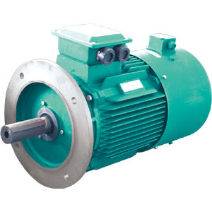 Frequenzumrichterkontrollierter Motor - YVF2 series - Jiang Su Weiteli Motor Co.,Ltd - Induktion / dreiphasig / IP54