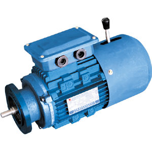 Asynchron-Bremsmotor - YEJ series - Jiang Su Weiteli Motor Co.,Ltd - dreiphasig / mit elektromagnetischer Bremse / TEFC