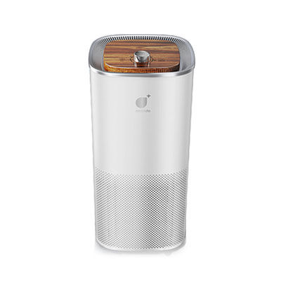Mobiler Luftreiniger - AC06 - Shenzhen Longood Intelligent Electric Co.,LTD - Filter / Wohnhaus