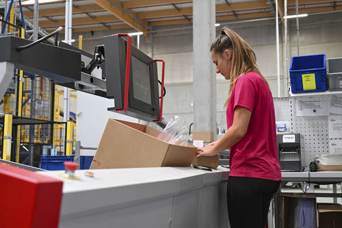 Inline-Kommissionieranlage - X-PTS - SAVOYE - automatisch