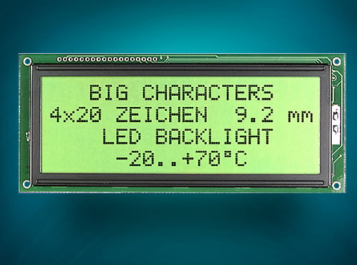 Punktmatrix-Display - DISPLAY VISIONS GmbH - LED / LCD / zweizeilig