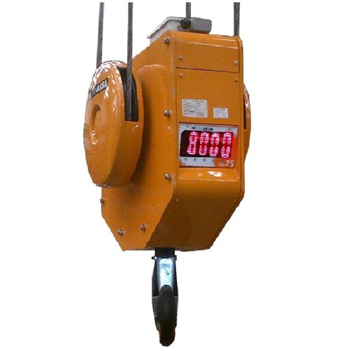 Hakenflasche für Hubanwendungen - APMCP - DINAKSA PESAJE - motorisiert / mit Wiegesystem / 2 Seilrollen