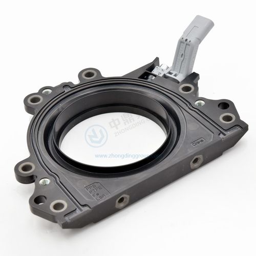 Lippendichtung - ANHUI ZHONGDING SEALING PARTS CO.,LTD - Kunststoff / PTFE / kreisförmig