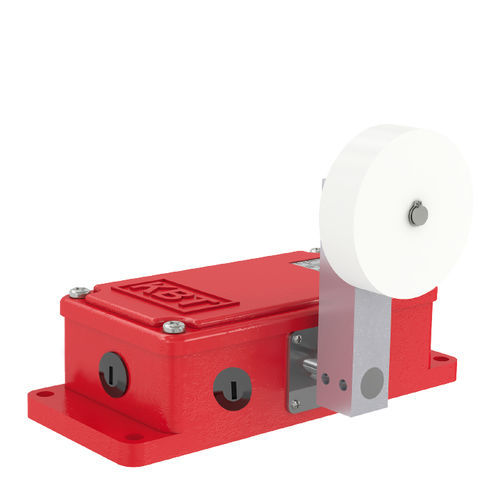 IP65-Positionsschalter - NSR12-PS series - KBT Elektrik - Sicherheit / für Industrieanwendungen