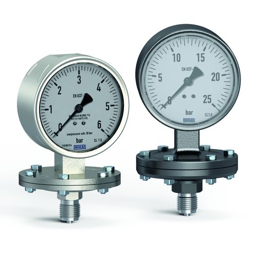 Membranmanometer - PL series - RIEGLER & Co.KG - mit Zifferblatt-Anzeige / Gewinde / Flansch