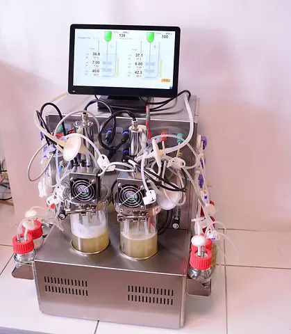 Labor-Bioreaktor - EDF-1.2 - Biotehniskais centrs - Prozess / mit großen Abmessungen / Kühl