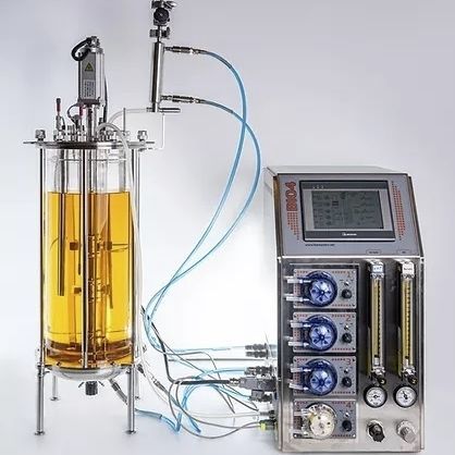 Labor-Bioreaktor - EDF-15.1 - Biotehniskais centrs - Glas / autoklavierbar