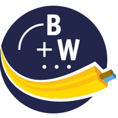 Messsoftware - BW2916 - Bihl+Wiedemann GmbH - Steuerung / Konfiguration / Entwicklung