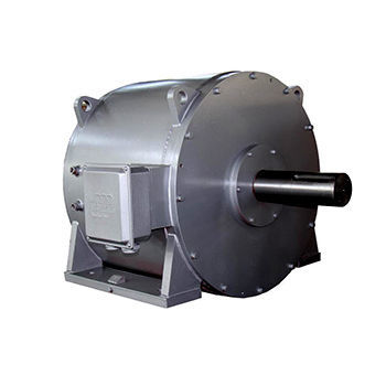 Servomotor mit Direktantrieb - D1XT series - Dalian Dalmo Electric Motor Co. Ltd - AC / IP54 / IP55