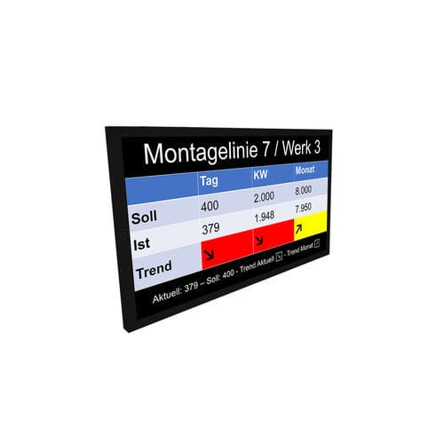 TFT-Monitor - migra  - microSYST Systemelectronic - LCD / vielseitig / 55"