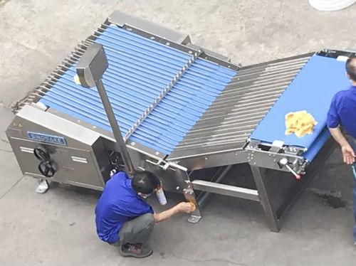 Sortiermaschine für Gebäck - LB1000 - Guangdong Shunde Huaji Machinery Industrial Co., Ltd. - für die Lebensmittelindustrie / automatisch / Band