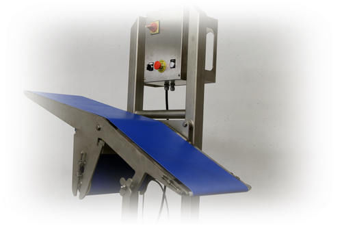 Rollenförderer - Fine-Spect - mit einstellbarer Neigung / Transfer / mobil