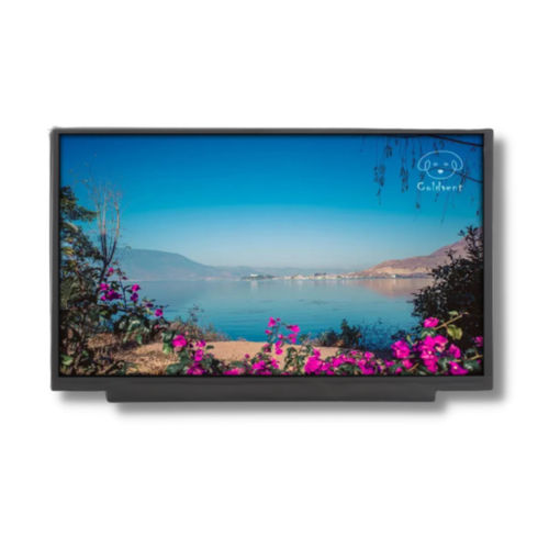 Displaymodul / TFT LCD - TTX116BHT-01 - TAILOR PIXELS TECHNOLOGY CO., LTD. - IPS / 1920 x 1080 / 11,6"