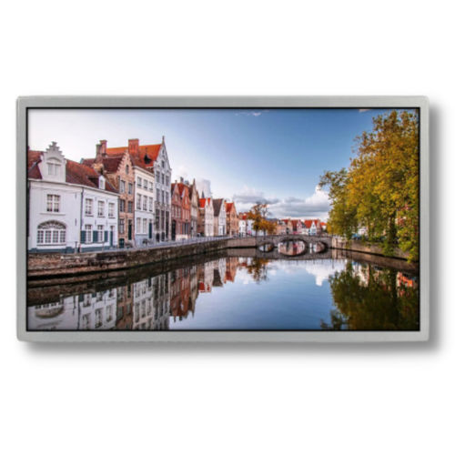 Displaymodul / TFT LCD -  TTX185BHT-01 - TAILOR PIXELS TECHNOLOGY CO., LTD. - IPS / 1920 x 1080 / 18,5"