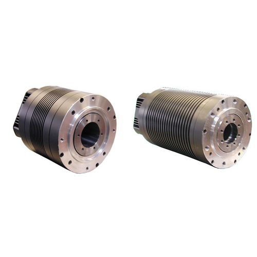 AC-Drehmomentmotor - BRL series - ACM engineering - dreiphasig / 3-Phasen / mit Hohlwelle