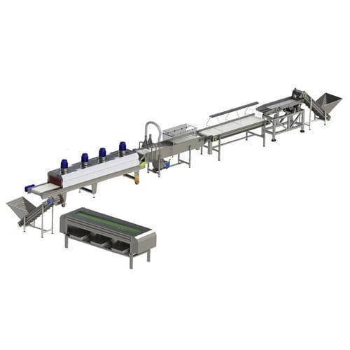 Dattel-Obstverarbeitungsanlage - Zibo Unique Machinery Co., Ltd. - Wasch / Kalibrier