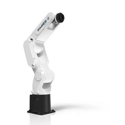6-Achs-Roboter - Machines Pagès SAS Pagès Group - für die Montage / Palettier / zum Laden
