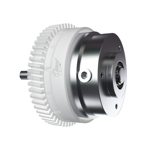 Scheiben-Schaltkupplung - Reach Machinery Co.,Ltd. - magnetisch-induktiv