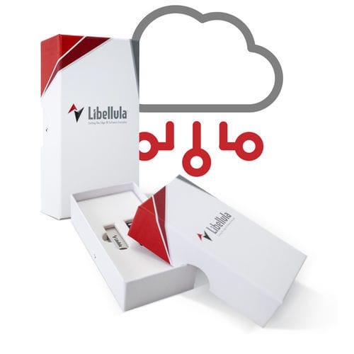 Management-Software - Libellula.CUT - Libellula S.r.l - Programmier / Automatisierung / CAD/CAM