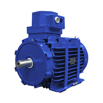 Asynchronmotor - D5Y - D6Y - D5V series - Marelli Motori S.p.A. - AC / 690 V / flammenbeständig