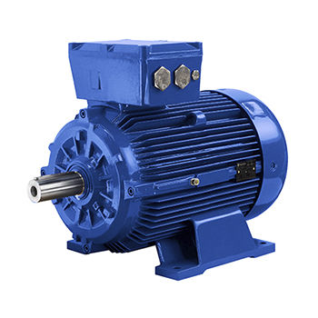 Asynchronmotor - D5U series - Marelli Motori S.p.A. - AC / 690 V / Gusseisen