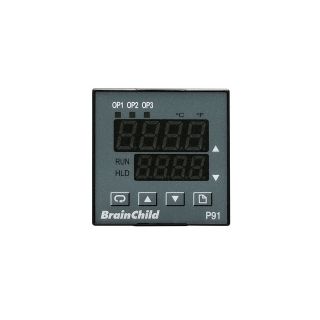 Analoger Temperaturcontroller - P91 - BRAINCHILD ELECTRONIC CO., LTD - PID / programmierbarer Rampe Vorwärmung / konfigurierbar